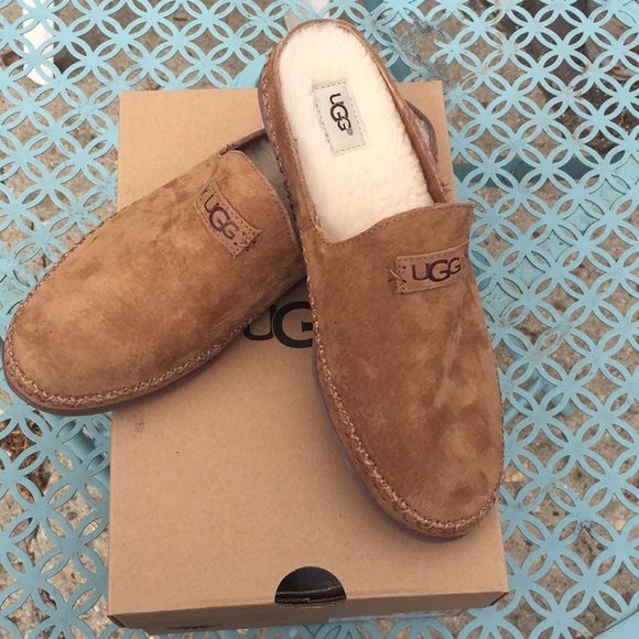 UGG Shoes - Ugg Tamara in Chestnut